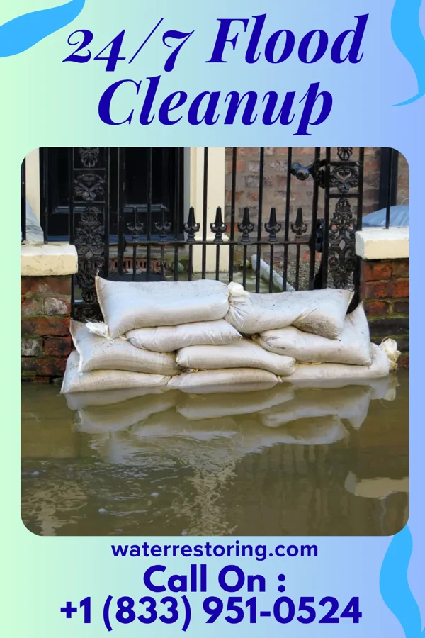 24/7 Flood Cleanup in Bude, MS