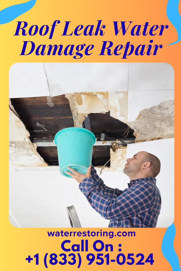 Roof Leak Water Damage Repair in Bude, MS