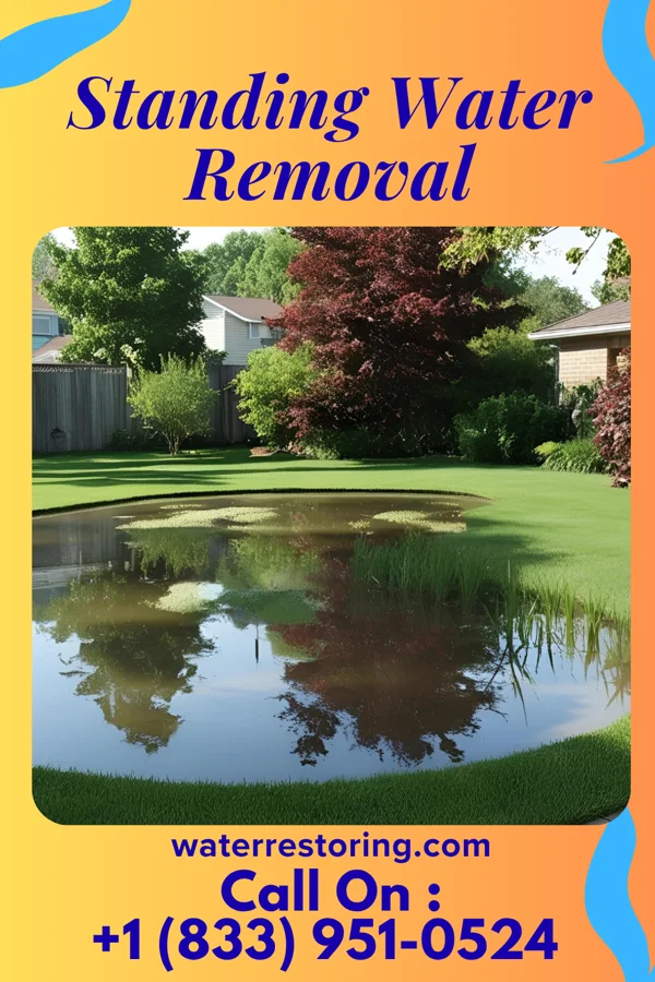 Standing Water Removal in Bude, MS